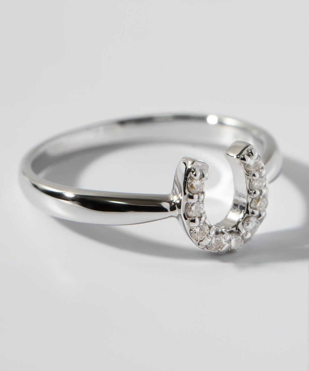 10K Gold White Gold Gallant Grace Ring | EQUINA