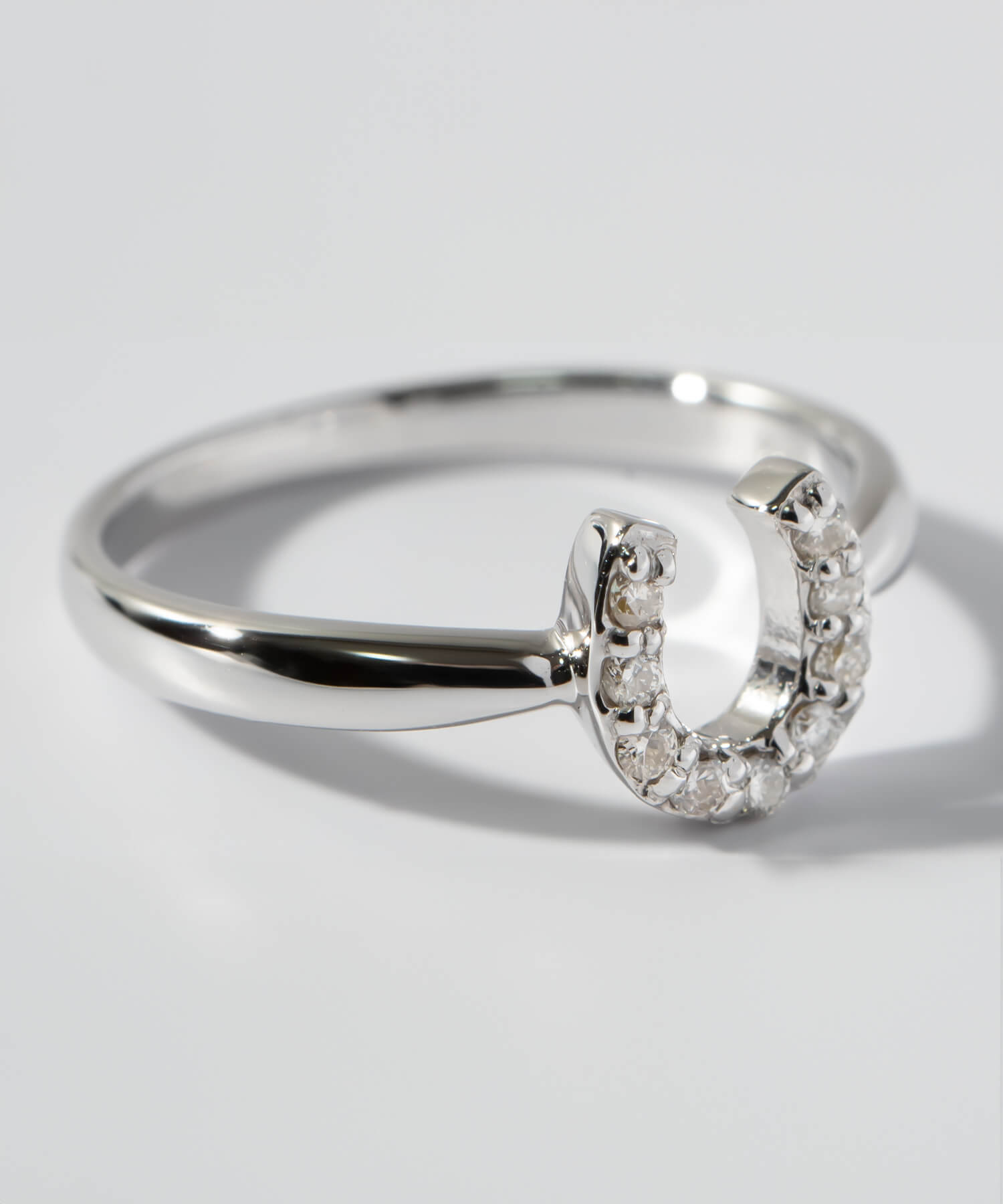 10K Gold White Gold Gallant Grace Ring | EQUINA