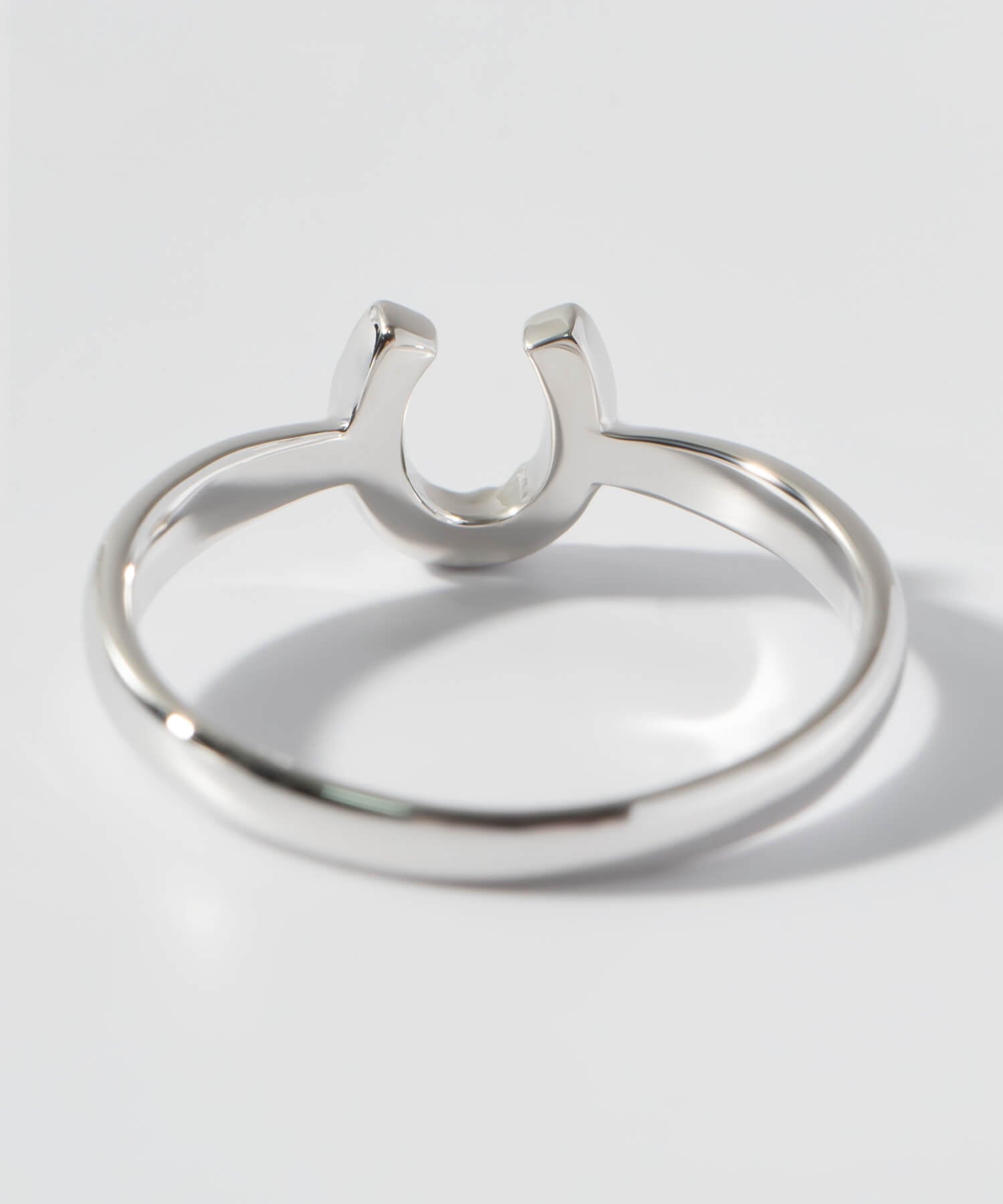 10K Gold White Gold Gallant Grace Ring | EQUINA