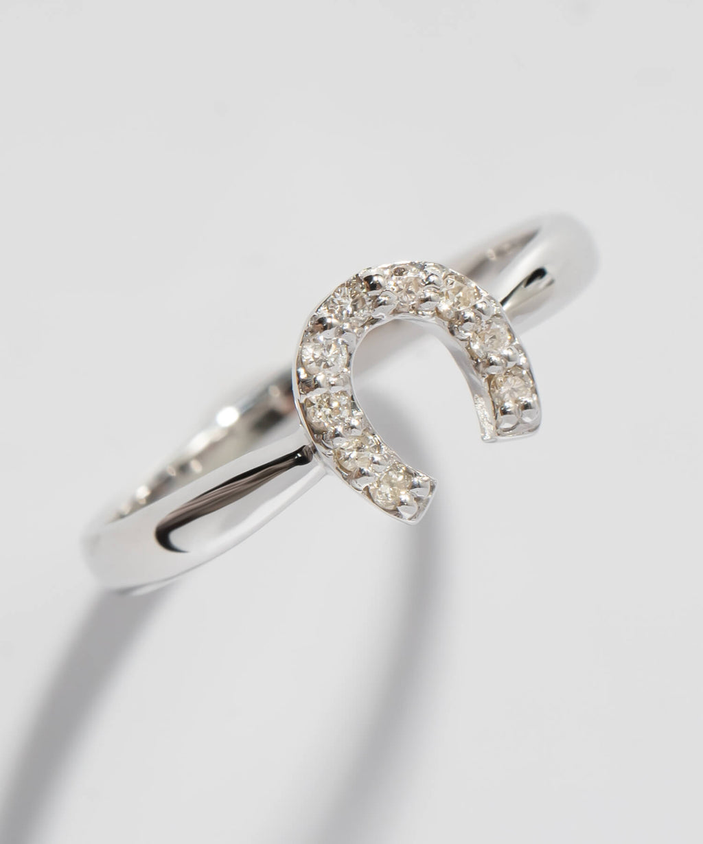 10K Gold White Gold Gallant Grace Ring | EQUINA