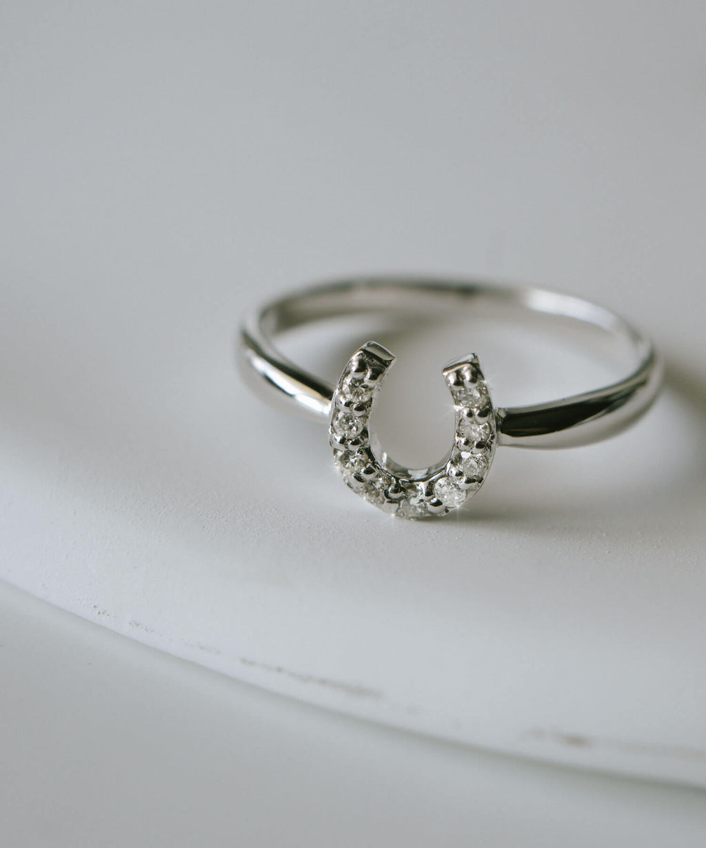 10K Gold White Gold Gallant Grace Ring | EQUINA