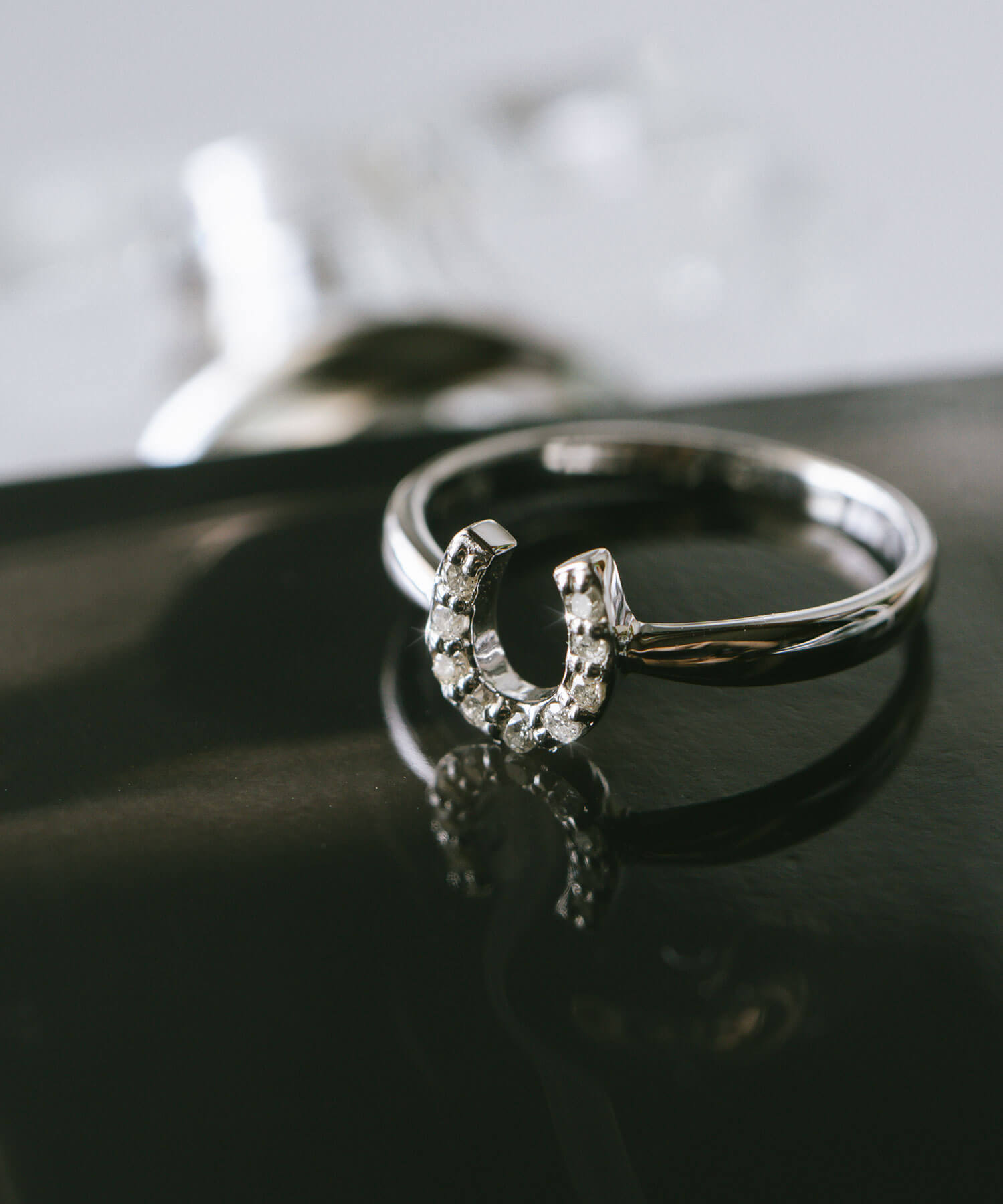 10K Gold White Gold Gallant Grace Ring | EQUINA