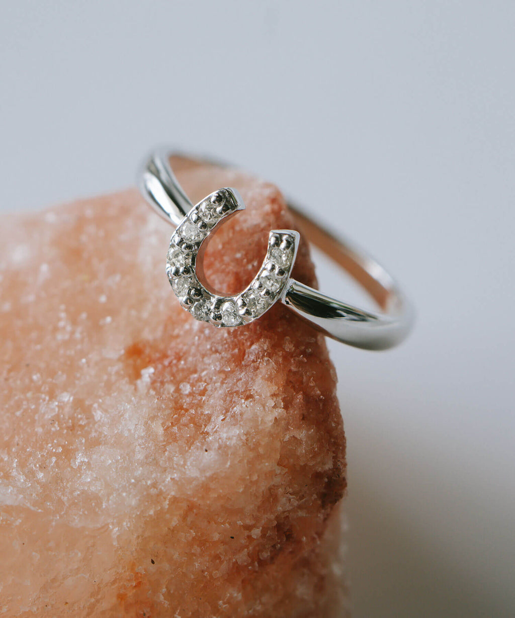 10K Gold White Gold Gallant Grace Ring | EQUINA
