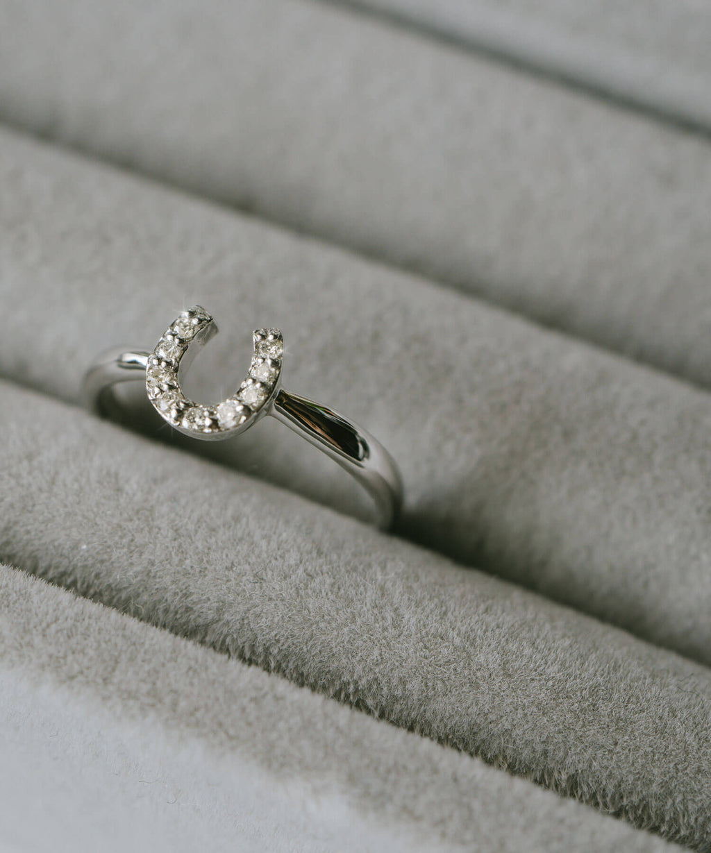 10K Gold White Gold Gallant Grace Ring | EQUINA