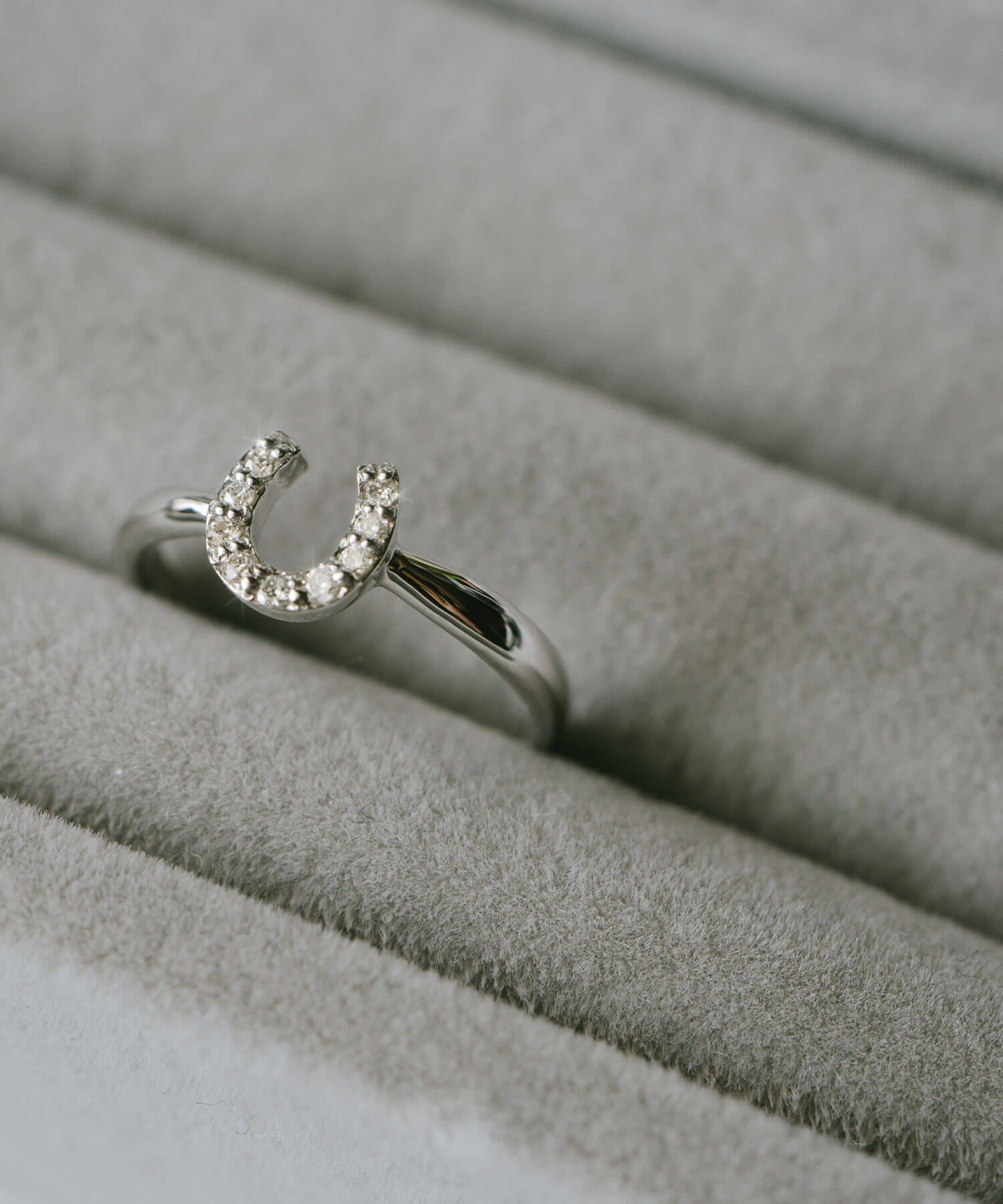 10K Gold White Gold Gallant Grace Ring | EQUINA