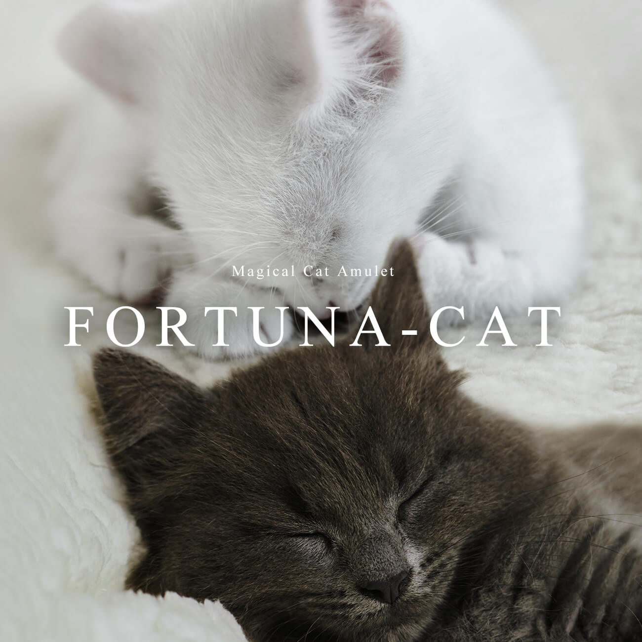 Fortune Cat Bracelet | FORTUNA CAT