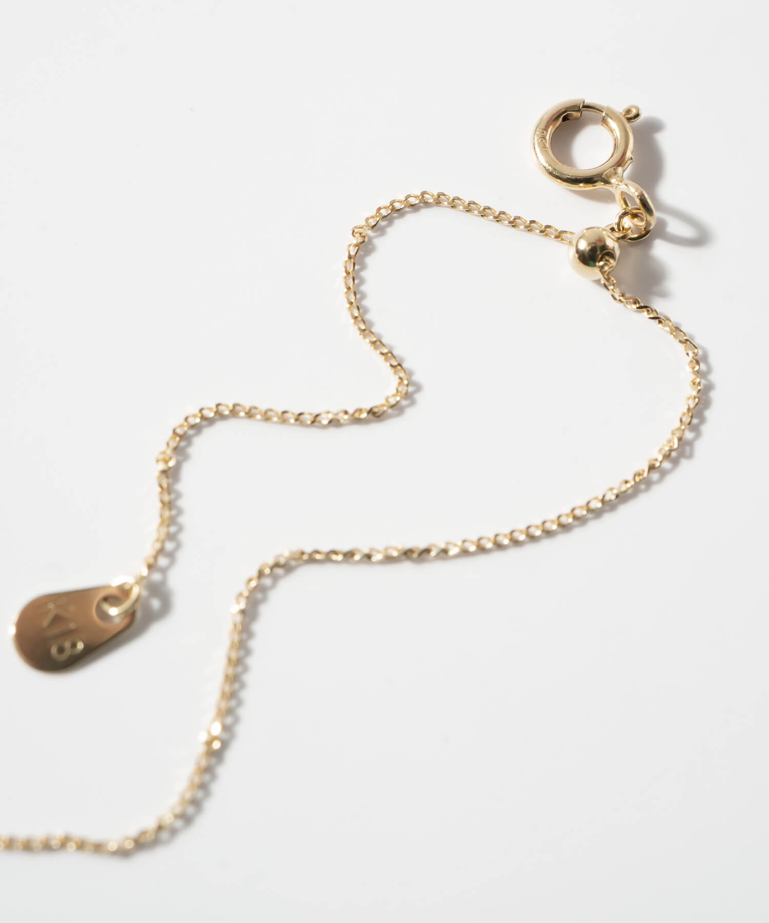10K Gold Ancient Lion Coin Necklace | RAFOLIO-LEONE