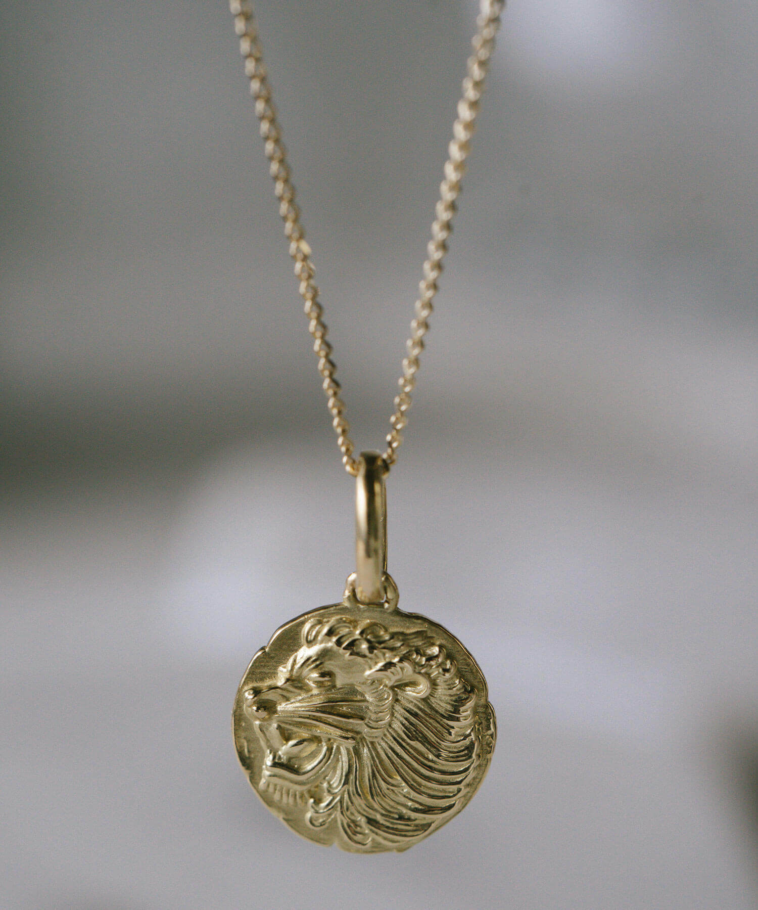 10K Gold Ancient Lion Coin Necklace | RAFOLIO-LEONE