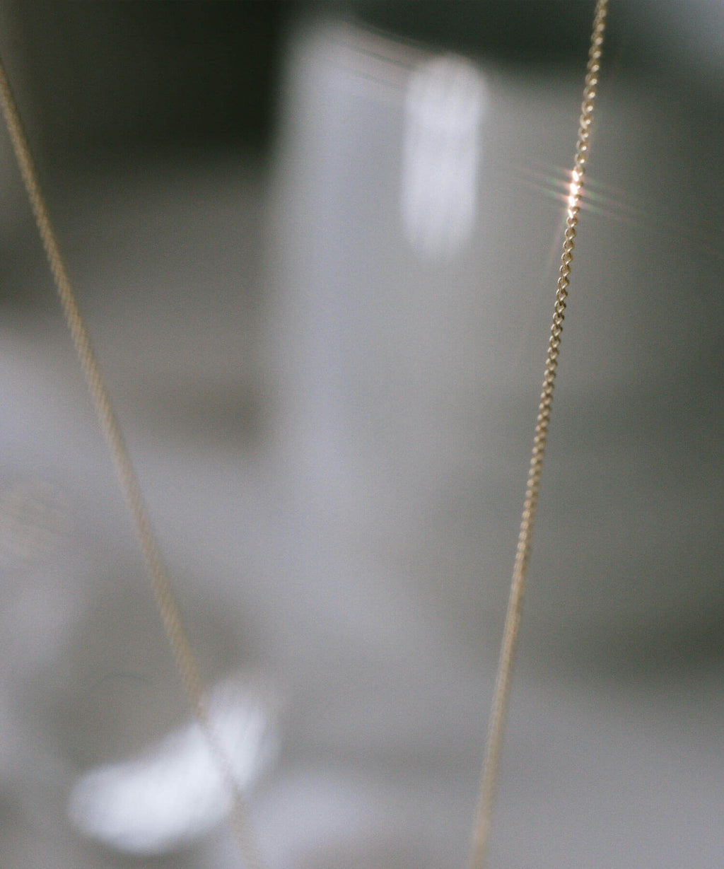 10K Gold Ancient Lion Coin Necklace | RAFOLIO-LEONE