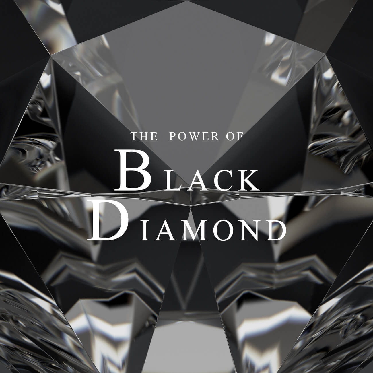 Black Diamond Platinum Studs Earrings | ROSA-NOTTE