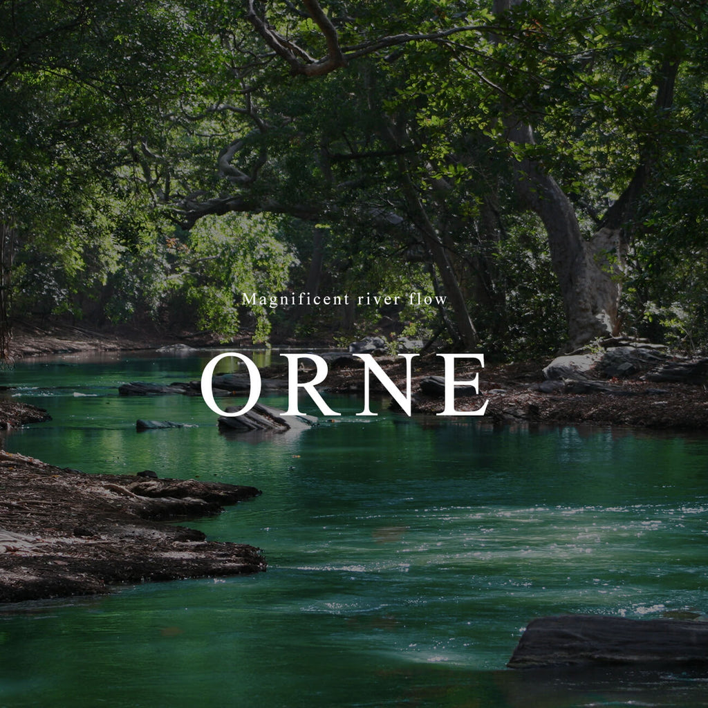 10K Gold Gemstone Wavy Long Earrings | ORNE-TEAR