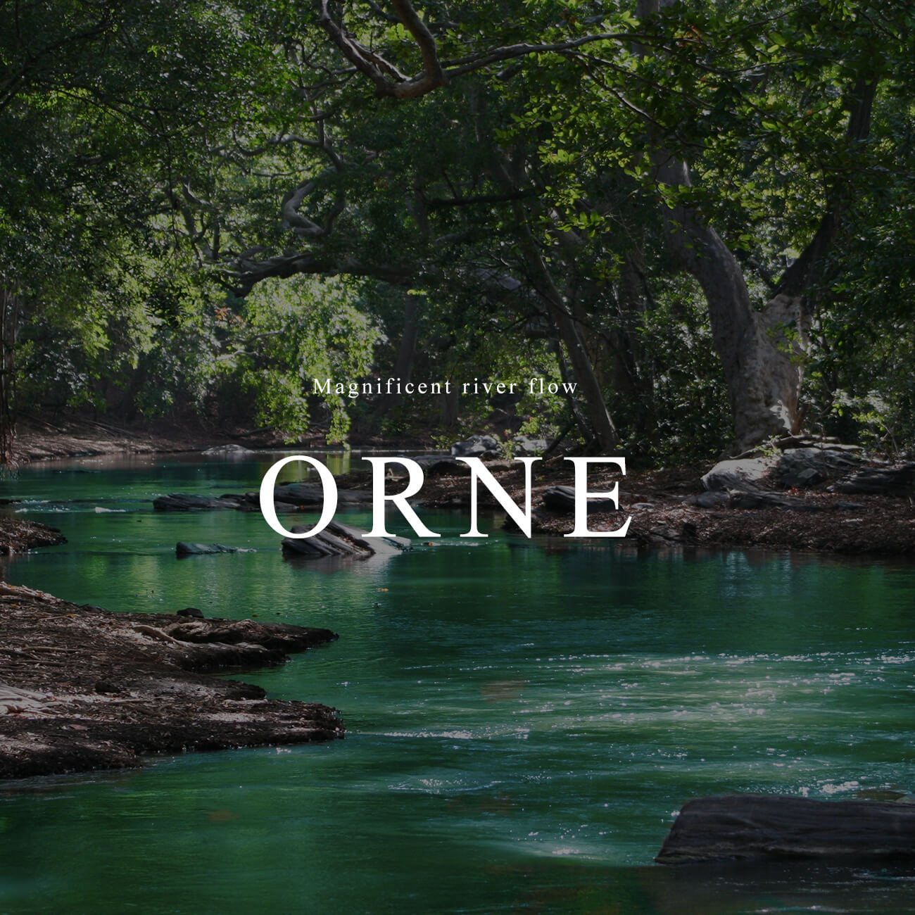 10K Gold Gemstone Wavy Long Earrings | ORNE-TEAR